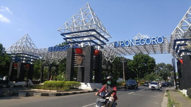 Ini Rekap Viralnya Website PMB Universitas Diponegoro yang Diserang&nbsp;Hacker
