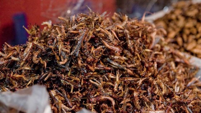 10 Daftar Kuliner Ekstrem yang Ada Indonesia, Kamu Berani&nbsp;Coba?